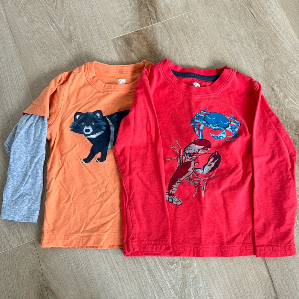 Tea Collection Boys Long Sleeve Shirt Bundle 2t